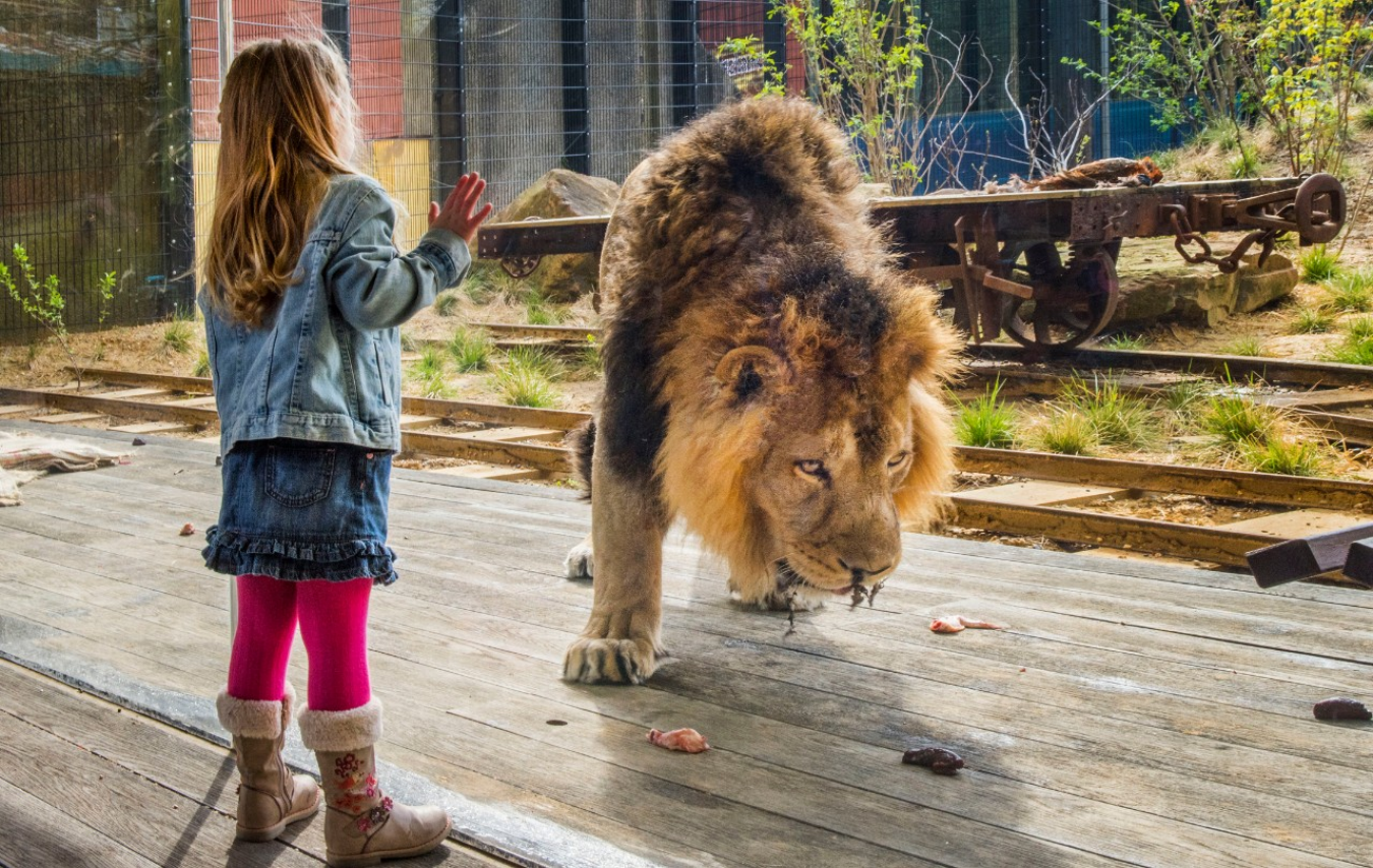 조정 가능한 유리