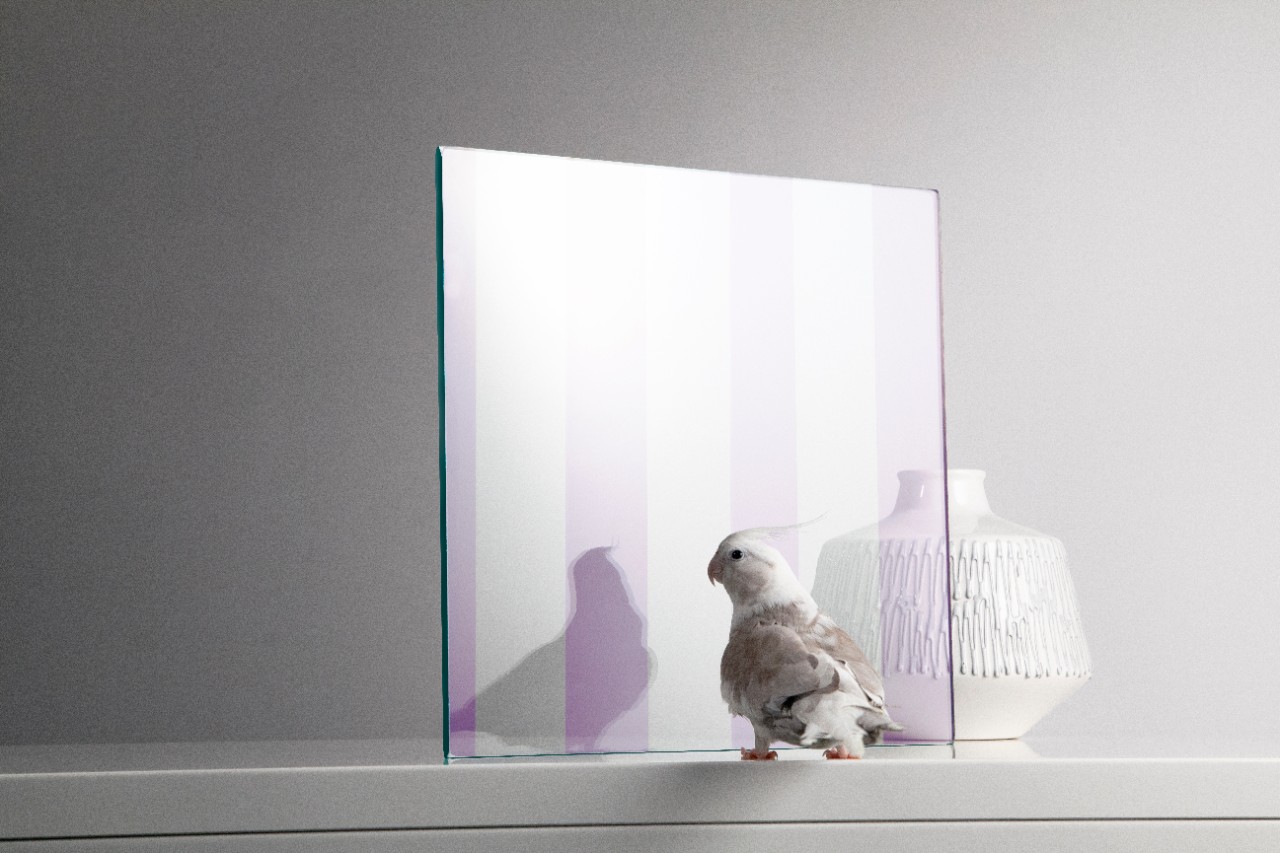 vitrage sans danger pour les oiseaux