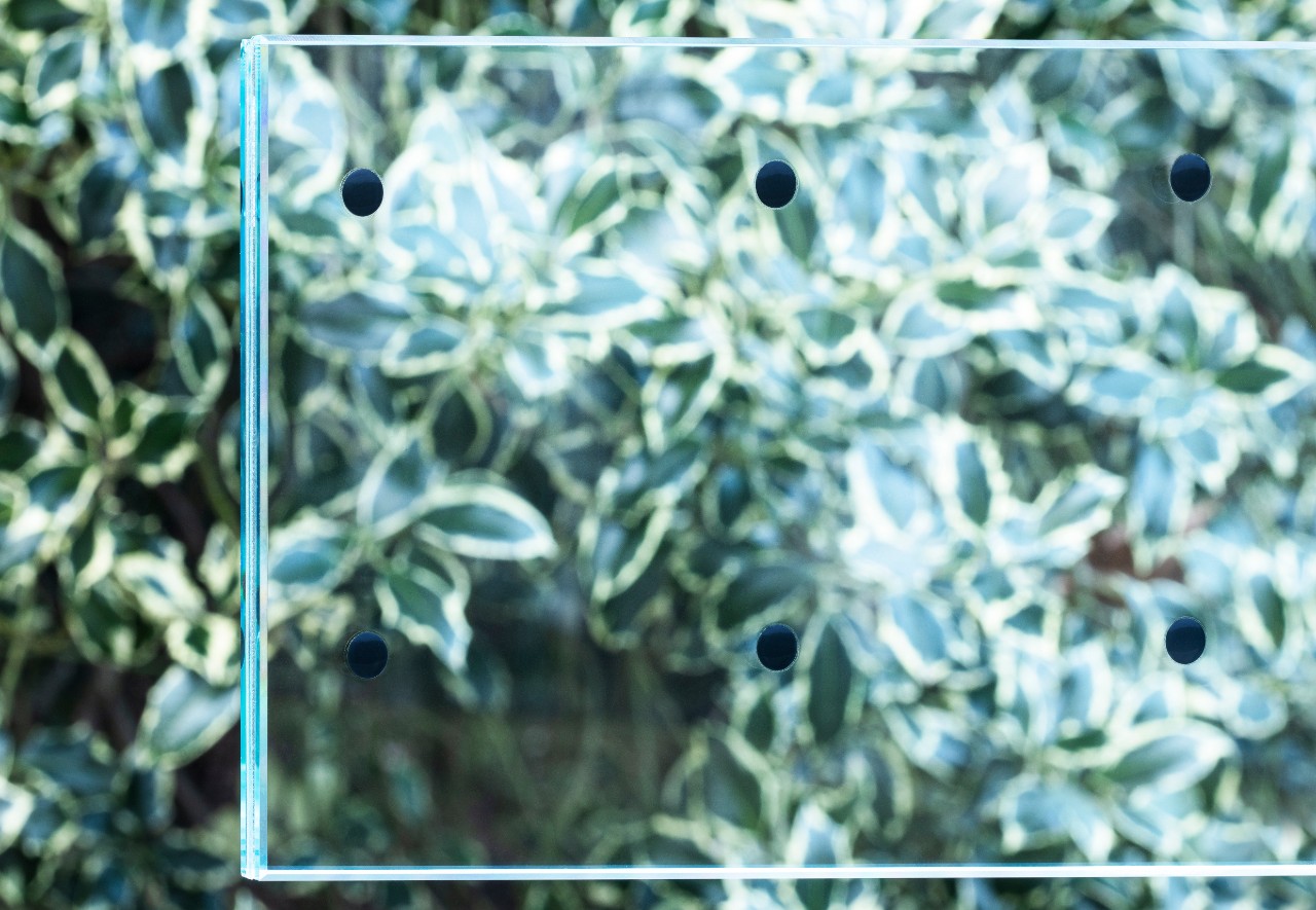 Bird1st Lami - What you see from inside